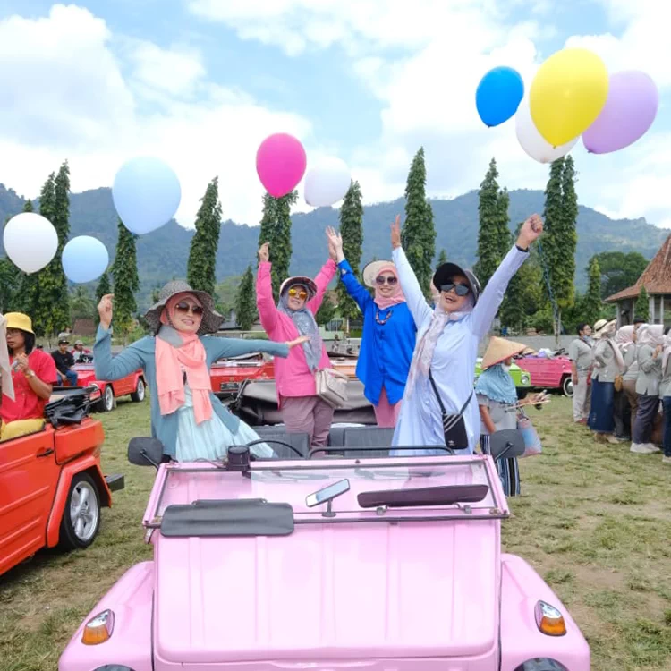 Rental VW Safari + Driver