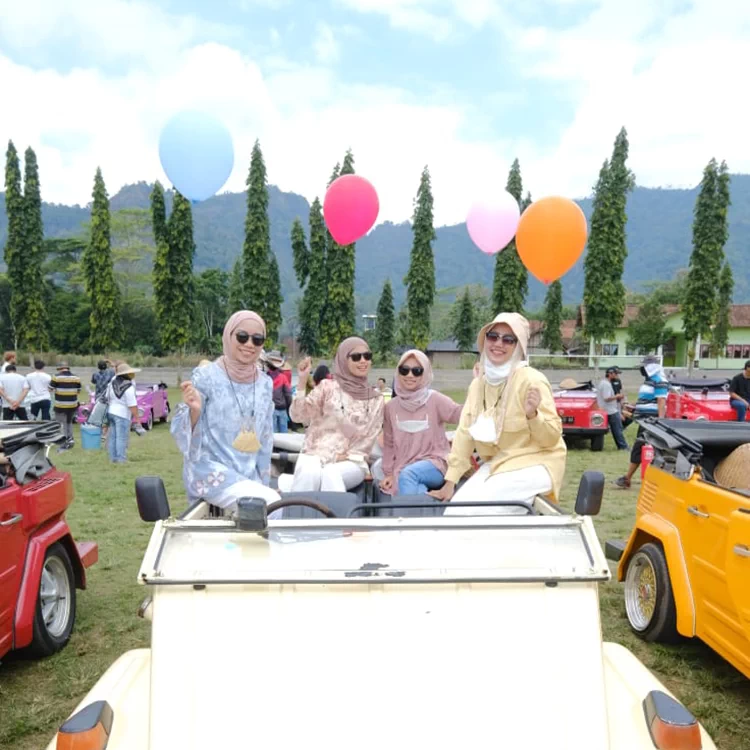Family Trip VW Safari